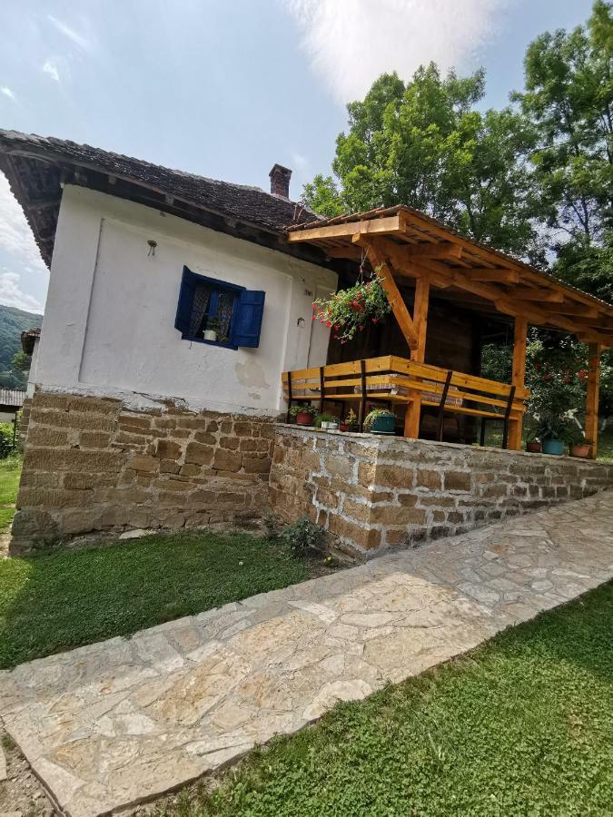 Willa Stara Etno Kuca Radonjic Guča Zewnętrze zdjęcie