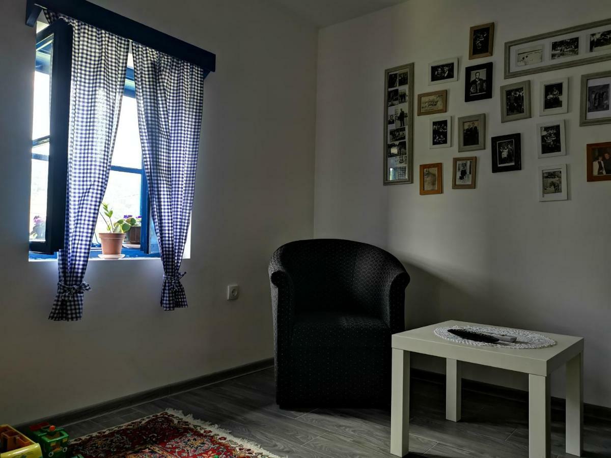 Willa Stara Etno Kuca Radonjic Guča Zewnętrze zdjęcie